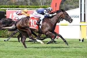 Big goals planned for talented filly